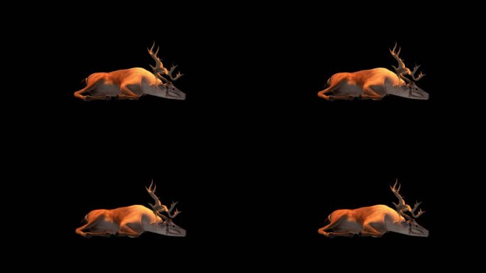 4K麋鹿休息动画MOV带alpha通道