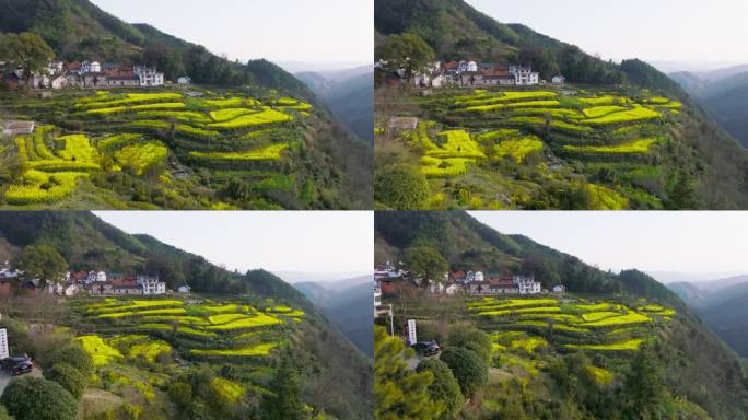 航拍江西婺源梯田峡谷村寨油菜花田 拉