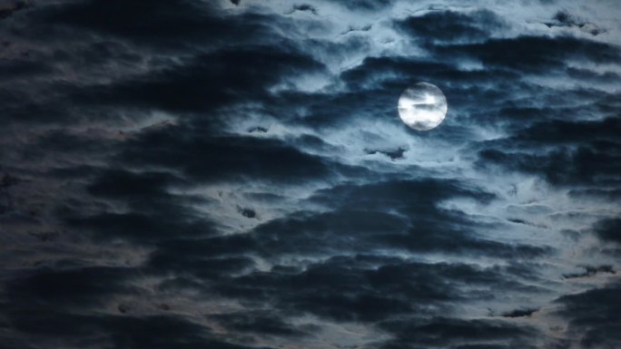 Z云朵里的月亮