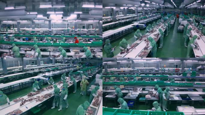 羊肉生产线 工厂生产