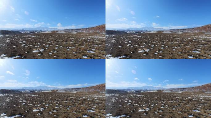 冬季高山牧场延时摄影