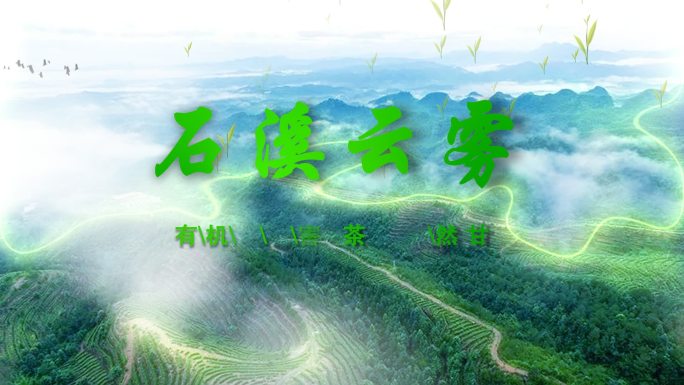 茶叶招商引资绿色生态旅游宣传片头