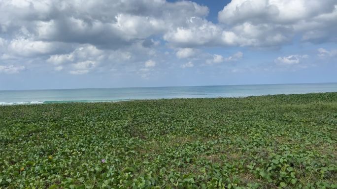 普吉岛卡伦海滩以及海边草地推镜头