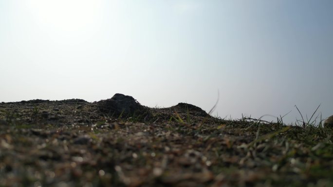 夕阳下的登山脚步意境