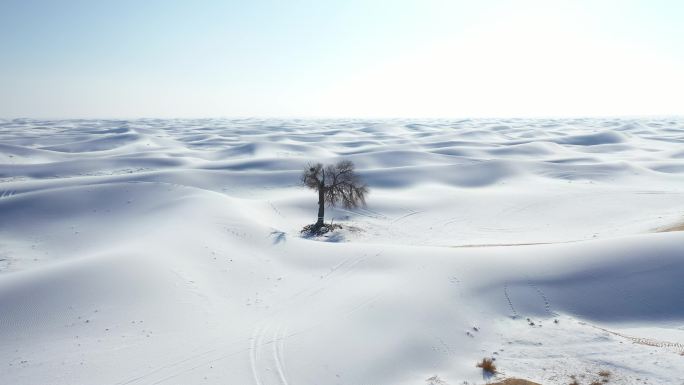 雪后沙漠