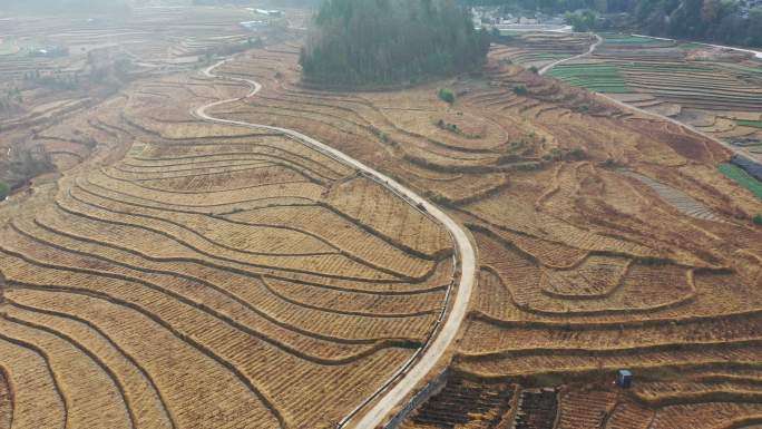 山区耕地航拍