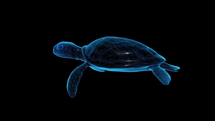 海龟 乌龟蓝色科技线条通道素材
