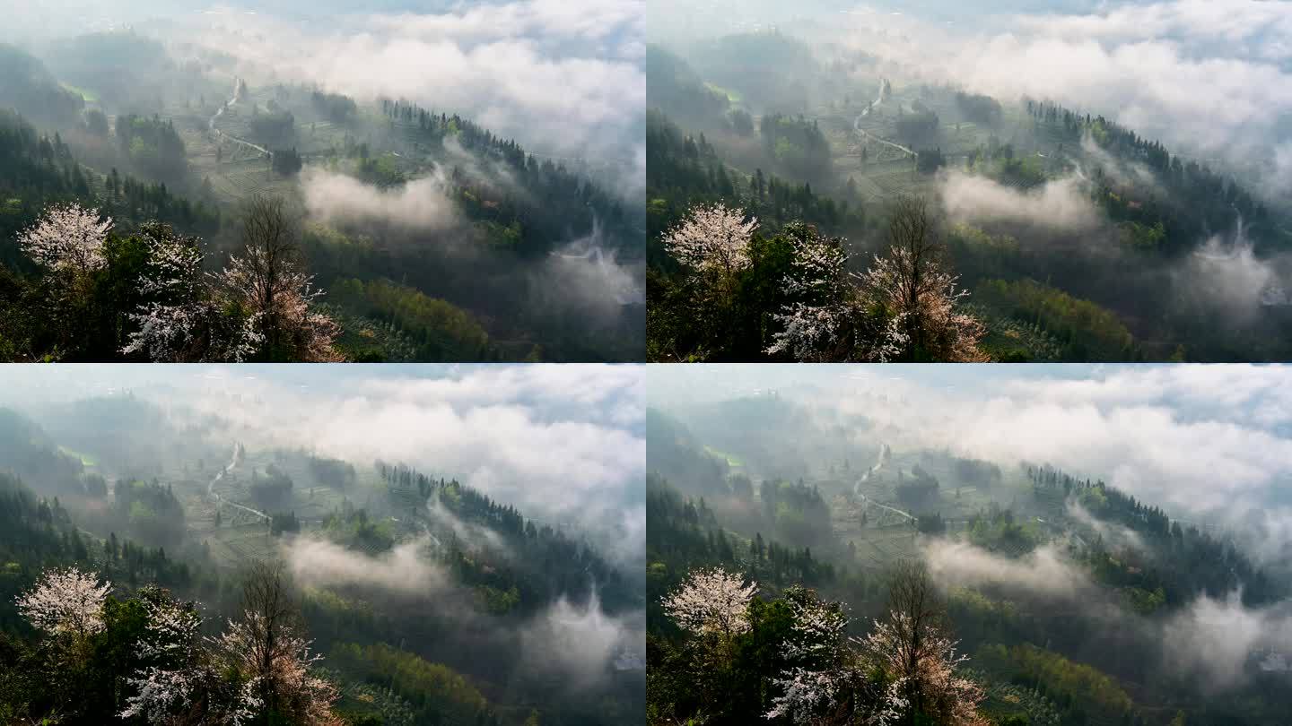 唯美大自然云雾缭绕延时视频素材