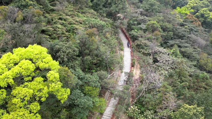 两组佛山第一峰皂幕山人流爬山