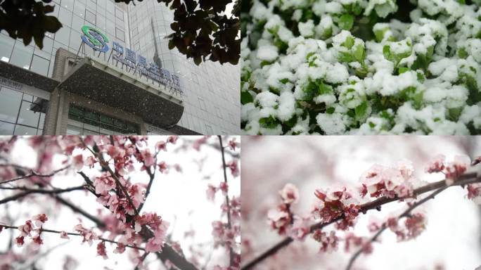 郑州CBD三月雪雪景