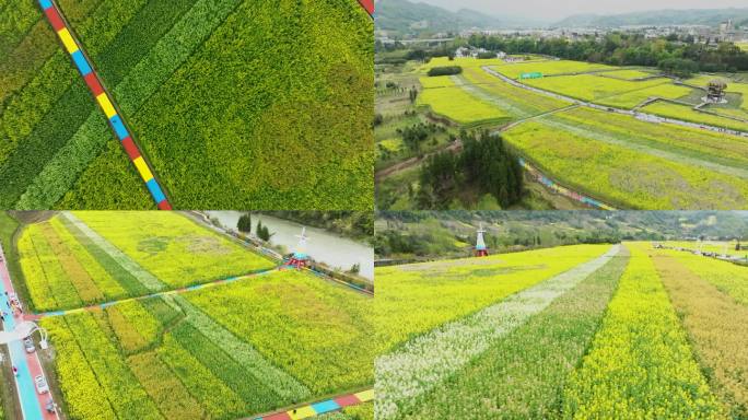 乡村振兴唯美春色油菜花开春回大地