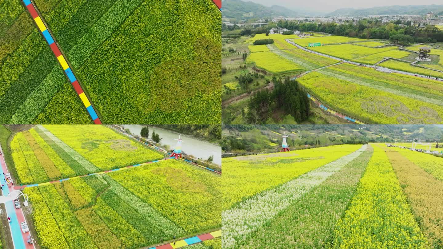 乡村振兴唯美春色油菜花开春回大地