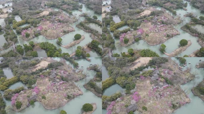 西溪梅墅 西溪湿地 杭州 4k航拍 大疆