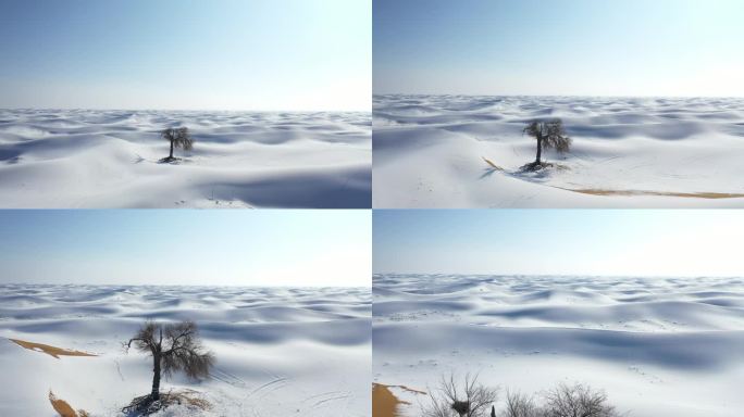 雪后沙漠