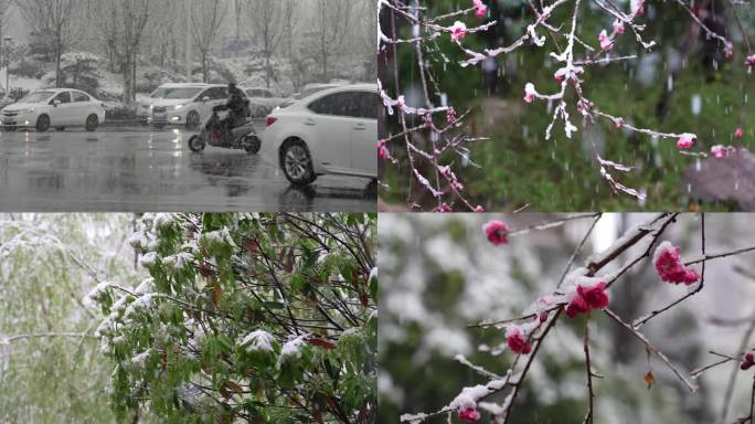 下雪大雪暴雪春雪