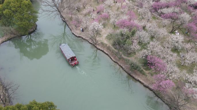 西溪梅墅 西溪湿地 杭州 4k航拍