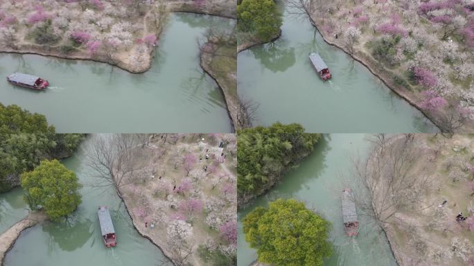 西溪梅墅 西溪湿地 杭州 4k航拍