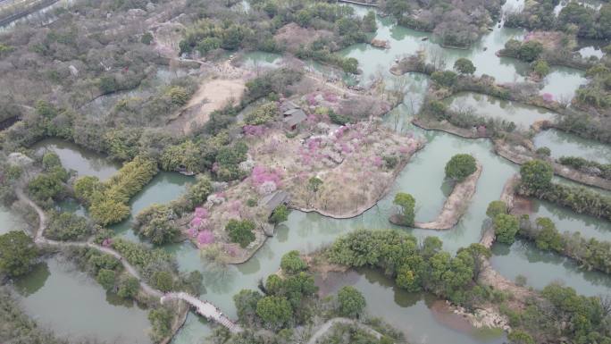 西溪梅墅 西溪湿地 杭州 4k航拍 大疆