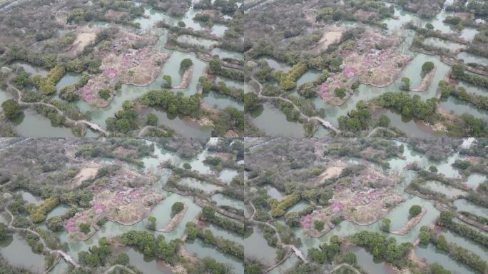 西溪梅墅 西溪湿地 杭州 4k航拍 大疆