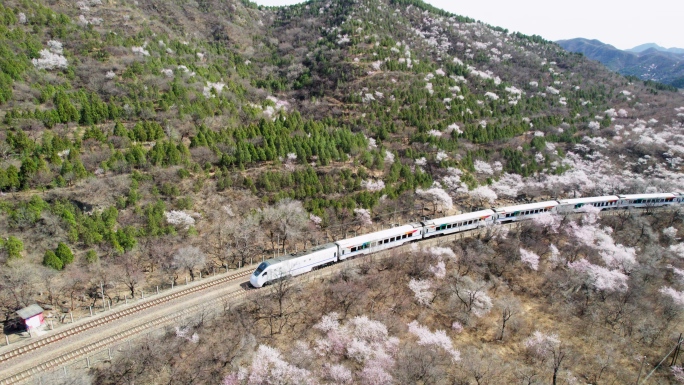 居庸关花海列车 开往春天的列车