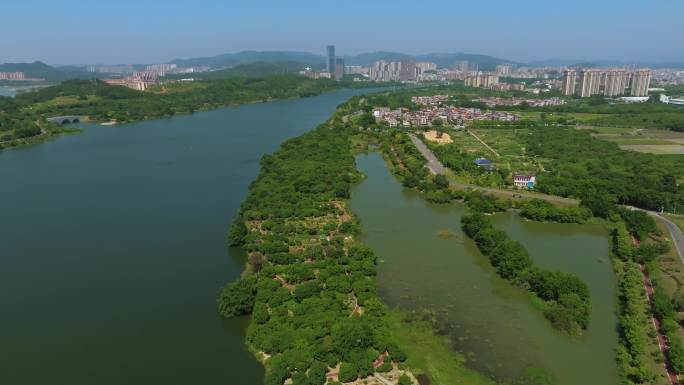 广州增江湿地公园
