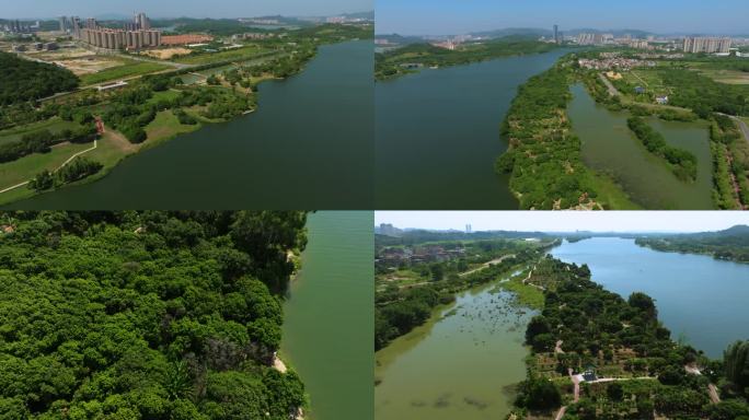 广州增江湿地公园