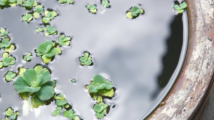 水滴入水缸