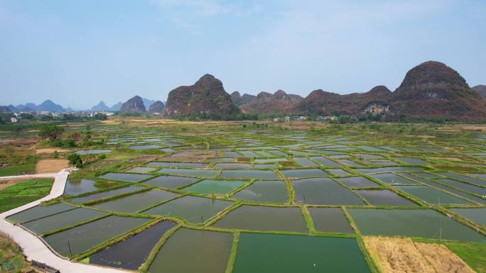 桂林山水会仙玻璃田喀斯特地貌农业风光航拍