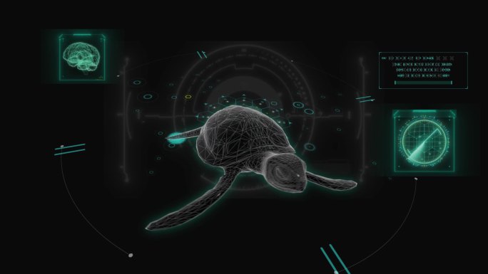 海龟 乌龟HUD科技界面展示素材