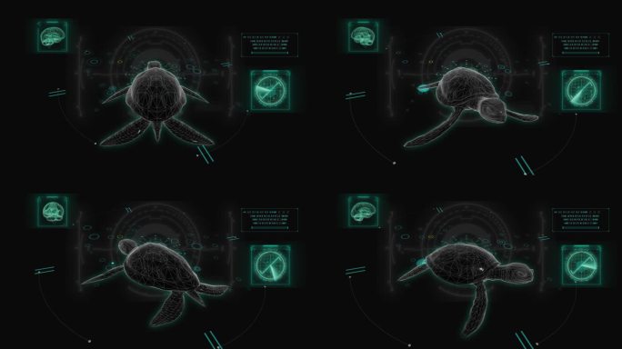 海龟 乌龟HUD科技界面展示素材