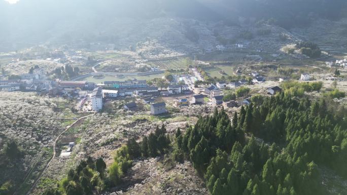 航拍重庆印盒漫山遍野李花