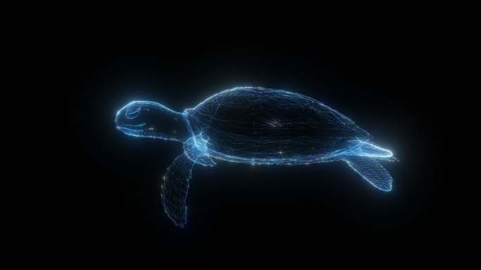 海龟 乌龟发光全息通道素材