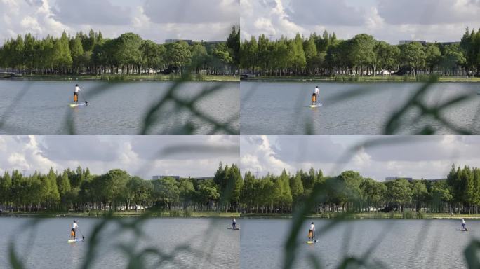 4K人在湖里划皮划艇