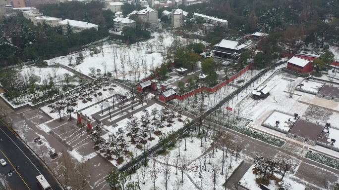 临安钱王陵园雪景航拍