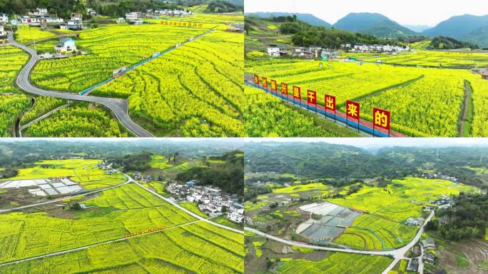 乡村振兴唯美春色油菜花开春回大地