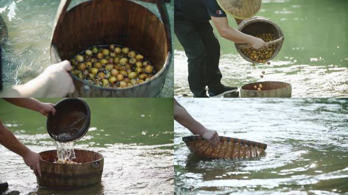枣子清洗溪流农民酸枣枣子筛选养生美食