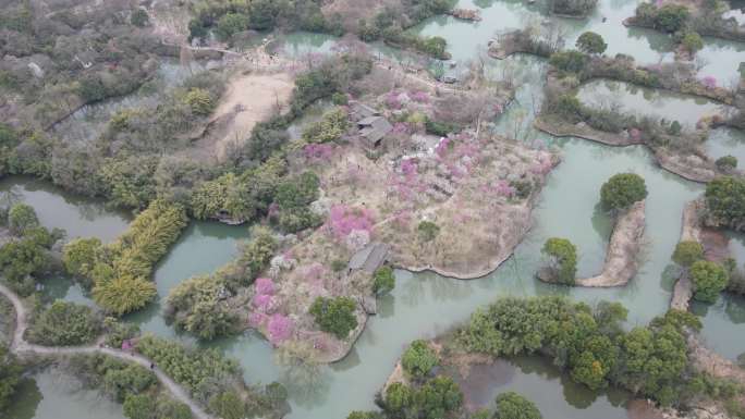 西溪梅墅 西溪湿地 杭州 4k航拍 大疆