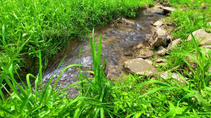 4K潺潺小溪流水