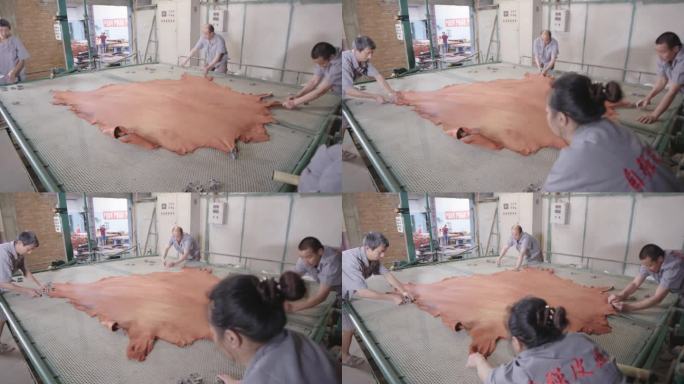皮革厂工人处理皮革
