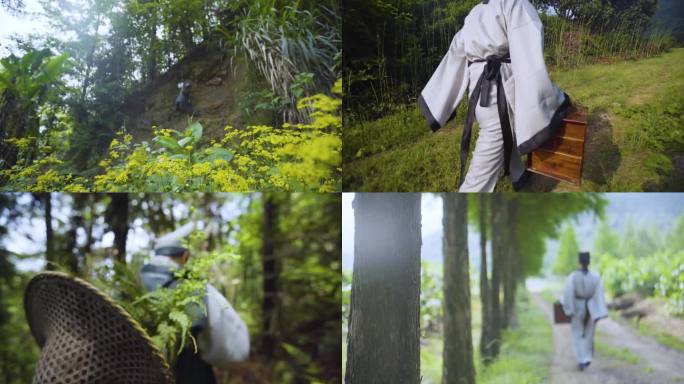 采药 药材 采药师