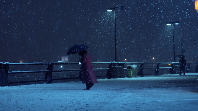 城市风雪景夜晚完整版47个镜头