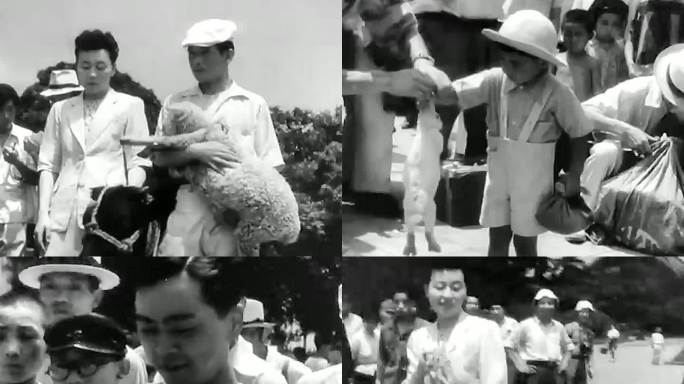 1947年战后日本 宠物