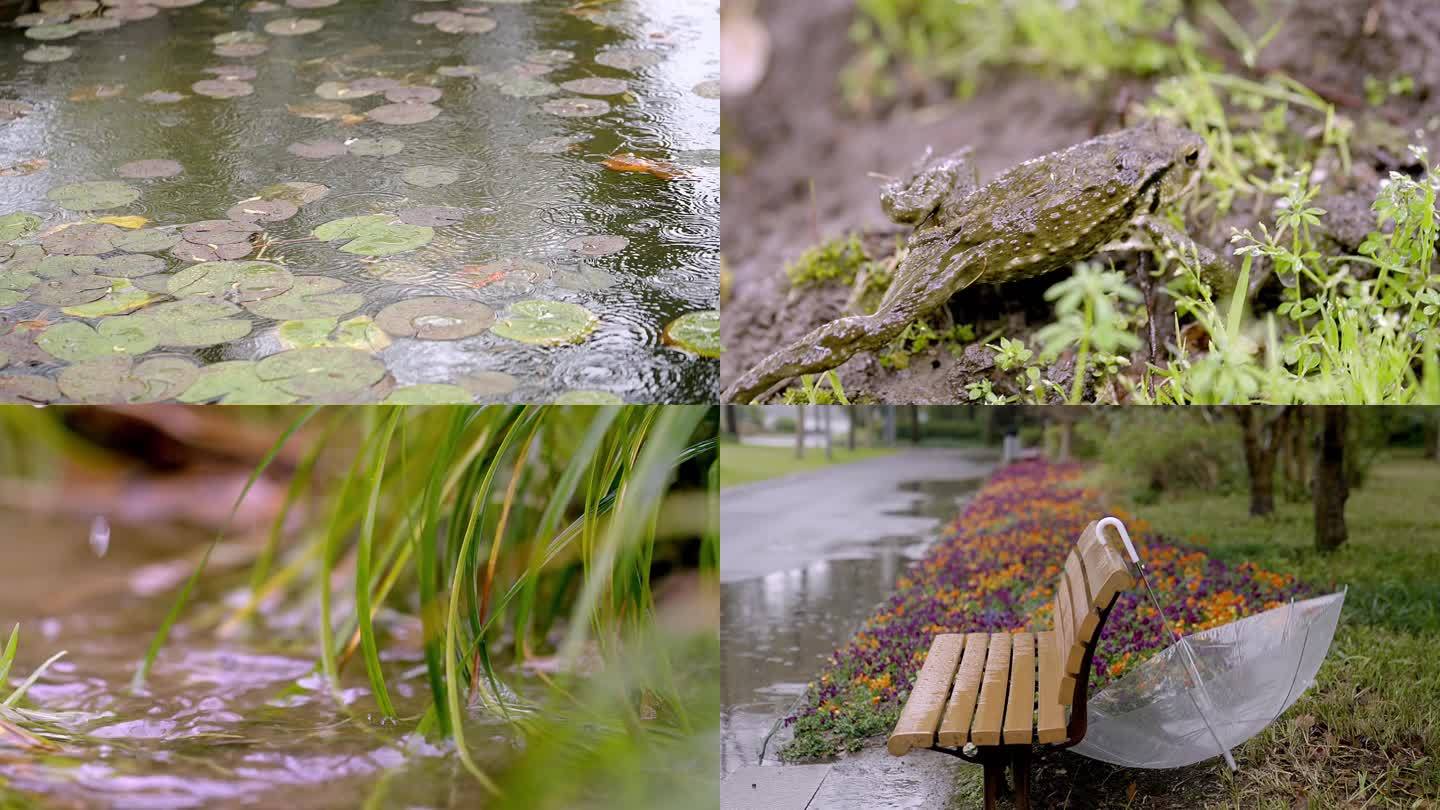 下雨公园实拍