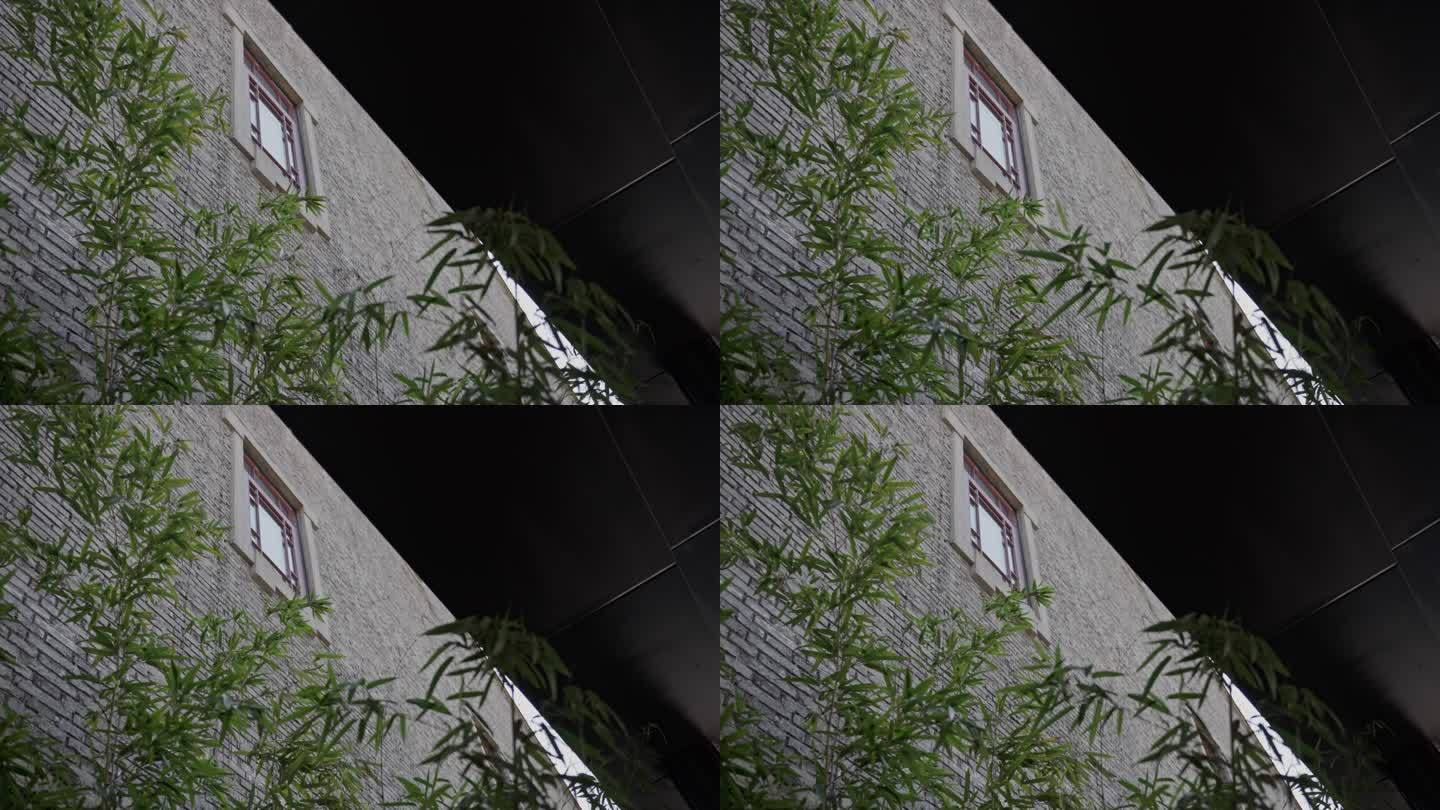竹叶窗户青砖