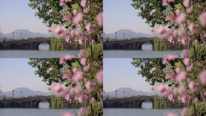 （简介有合集）杭州 西湖 西冷桥 情人桥