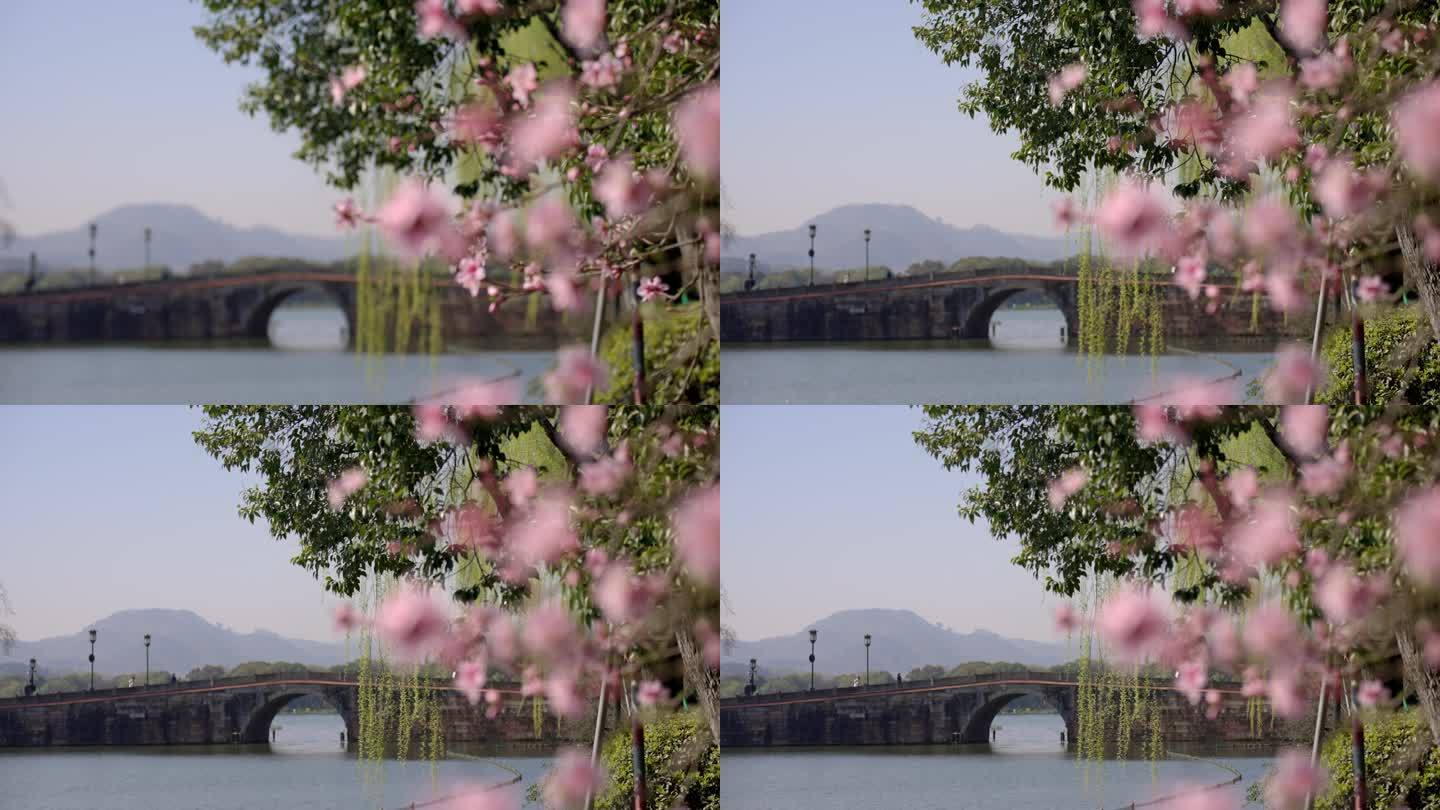 （简介有合集）杭州 西湖 西冷桥 情人桥