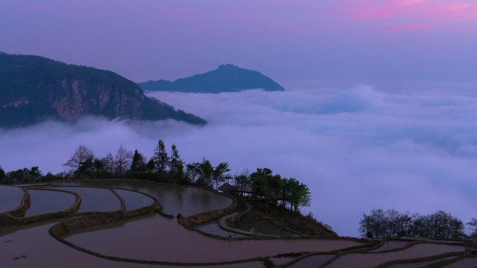 云南红河箐口梯田 黎明云海 延时