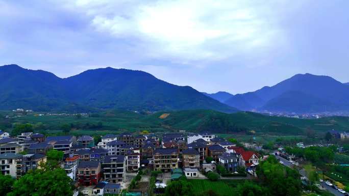 航拍杭州龙坞茶村