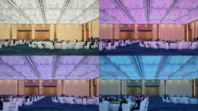 宴会厅 高峰论坛 国际峰会