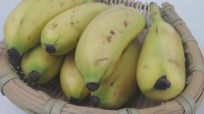 【镜头合集】海南帝王蕉水果香蕉（1）